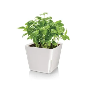 Vaso Per Piante Quadrato Metallo Bianco 13x11cm